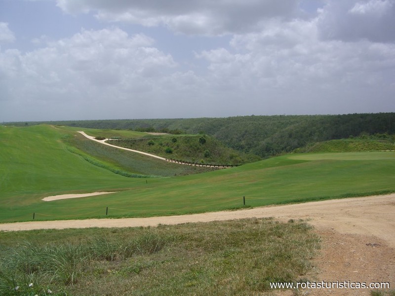 Altos de Chavón Golf Course
